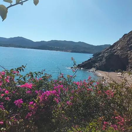 Lejlighed Risveglio Sul Mare Teulada